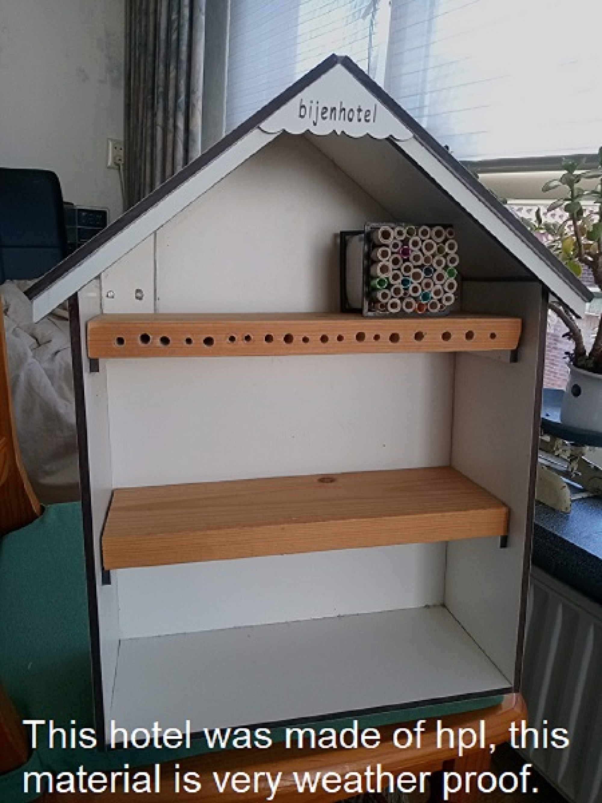 this photo is not available