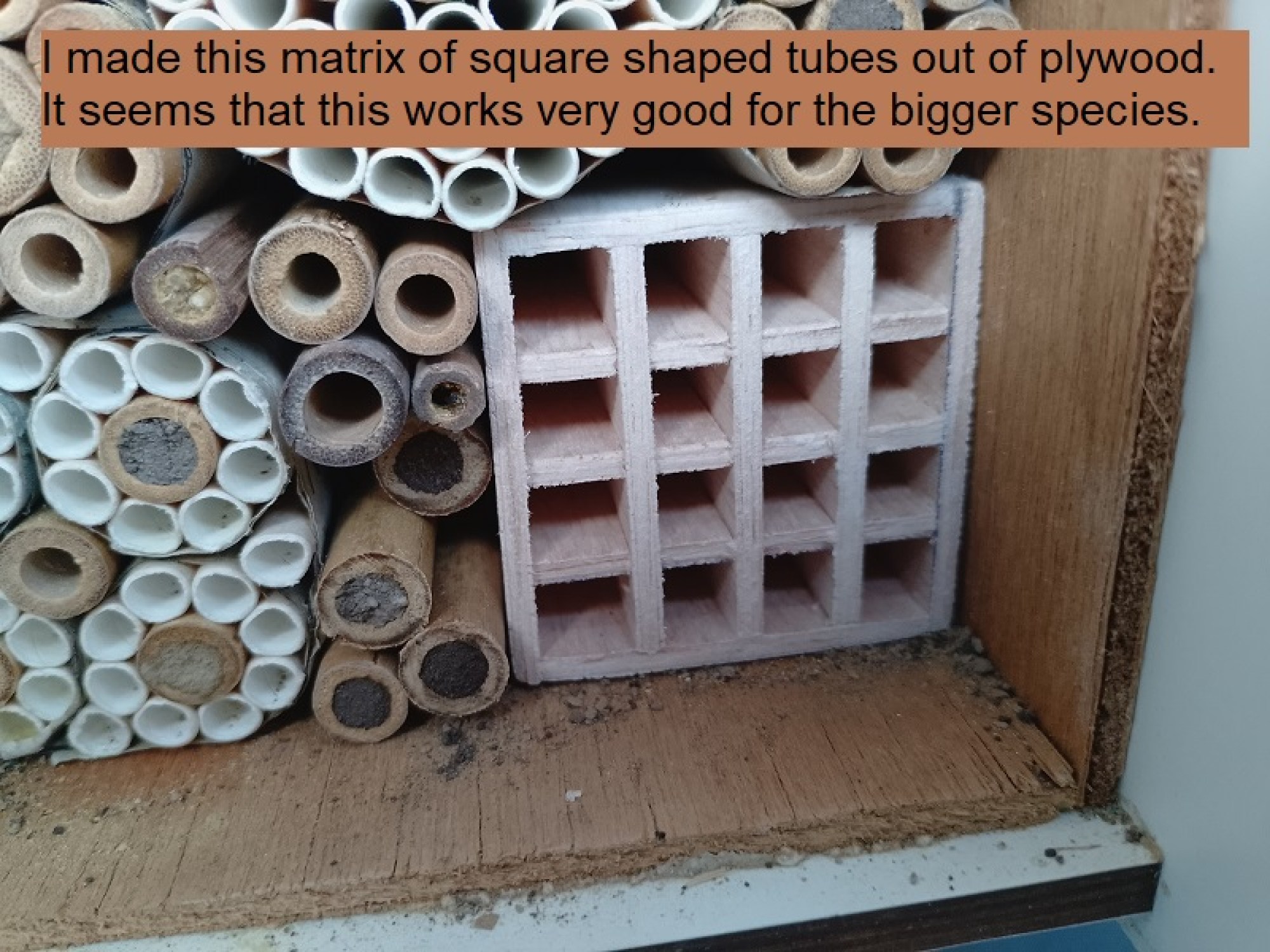 this photo is not available