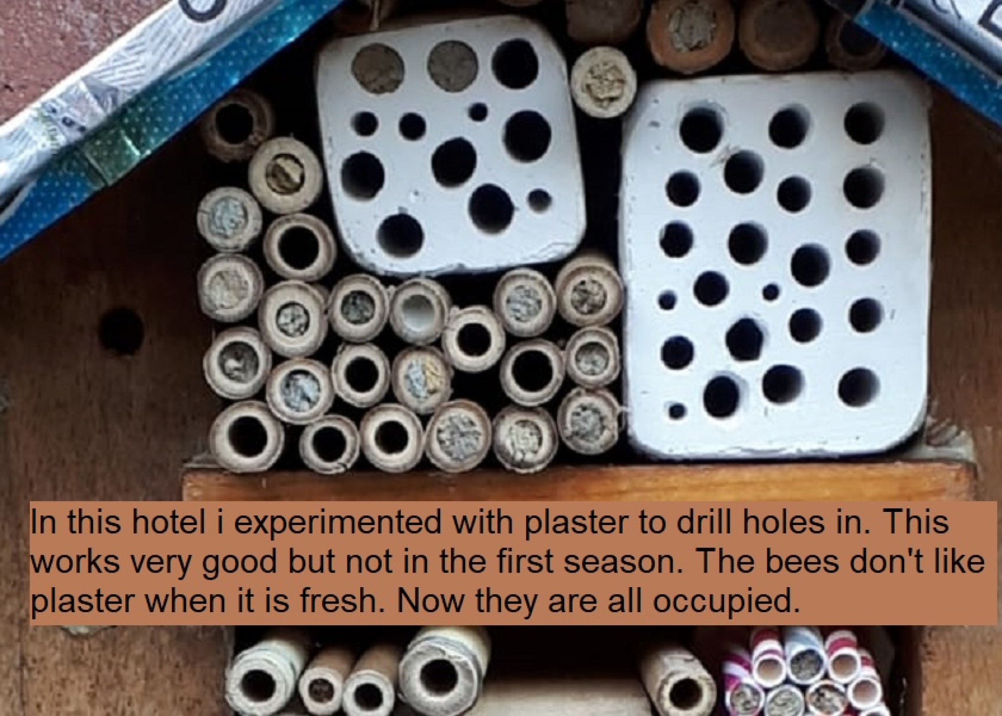 this photo is not available