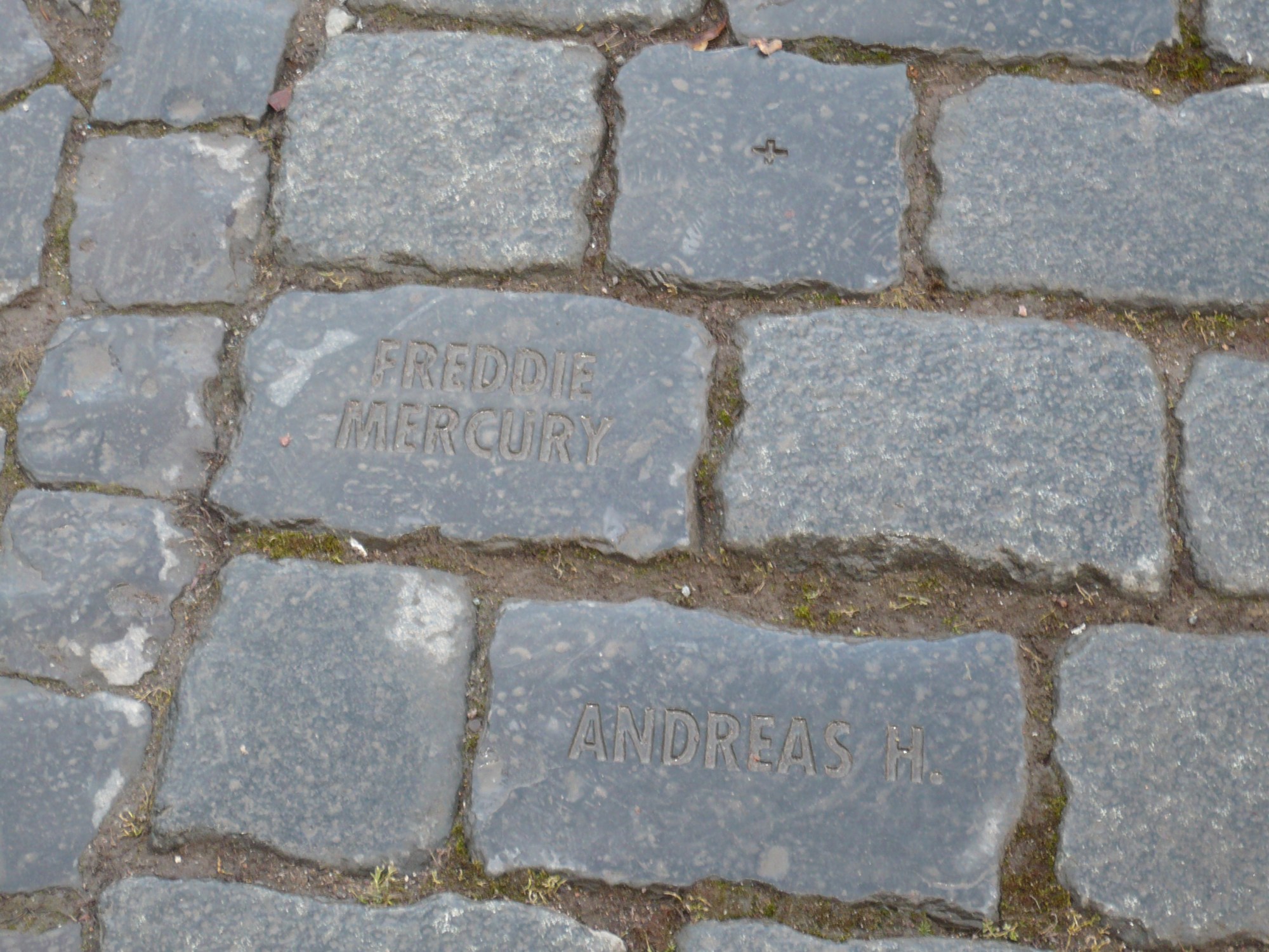 this photo is not available