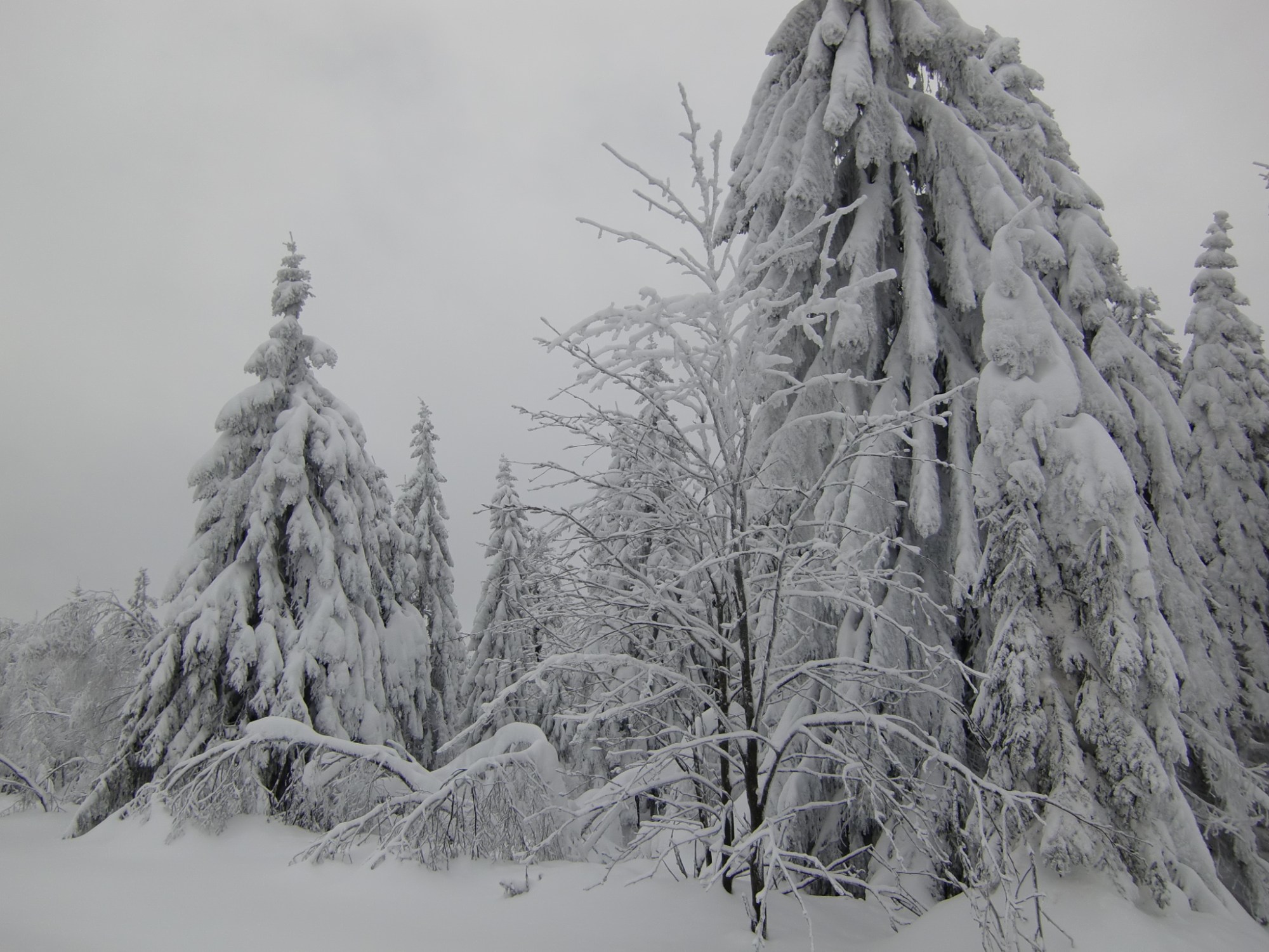 this photo is not available