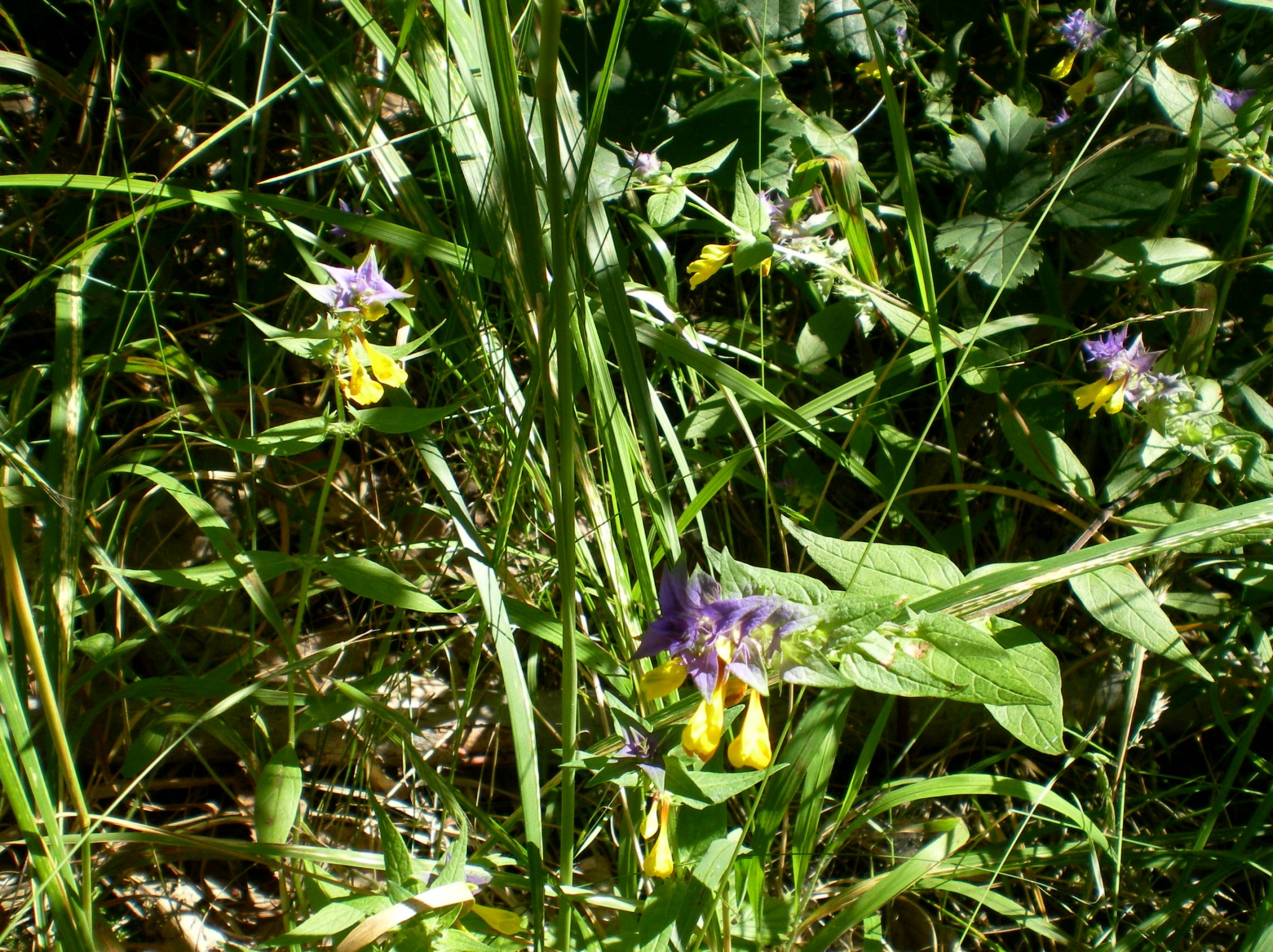 this photo is not available