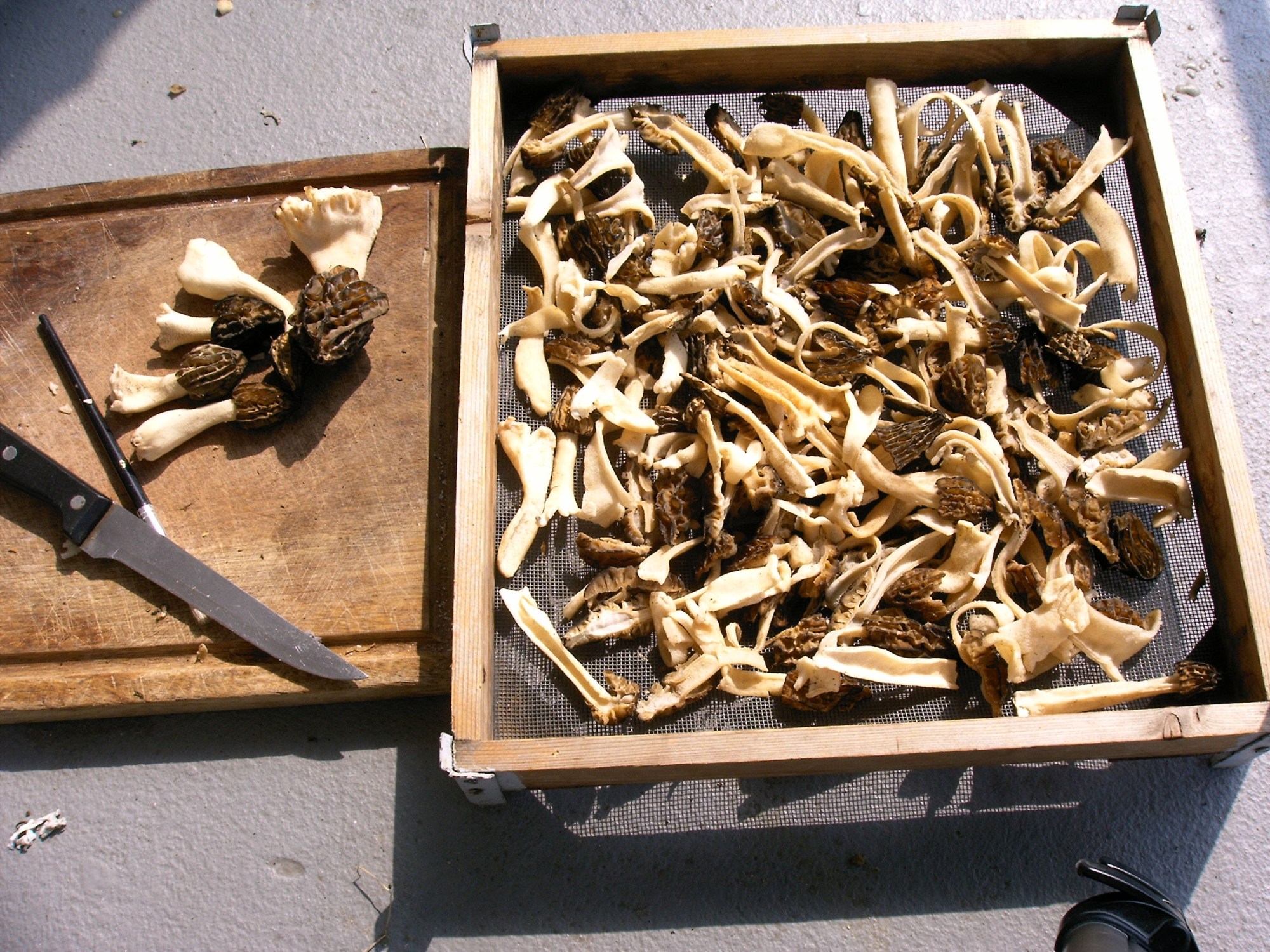 this photo is not available