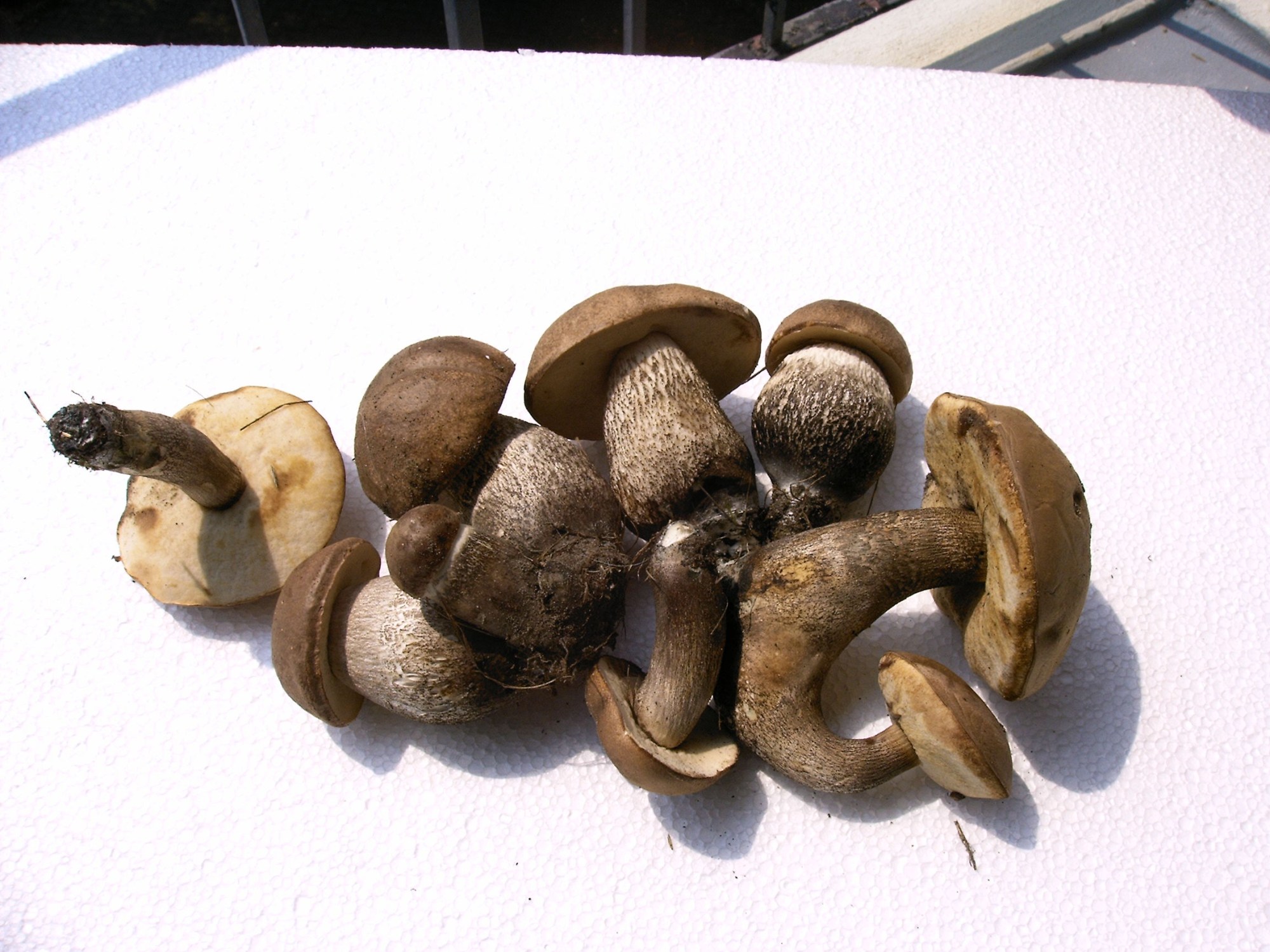 this photo is not available