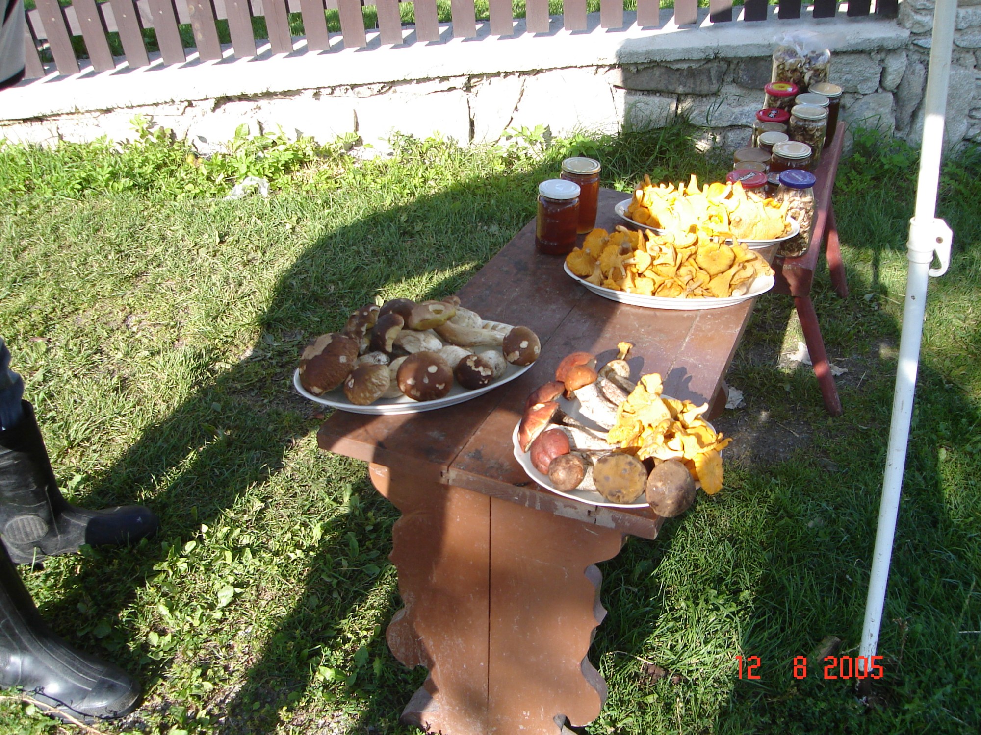 this photo is not available