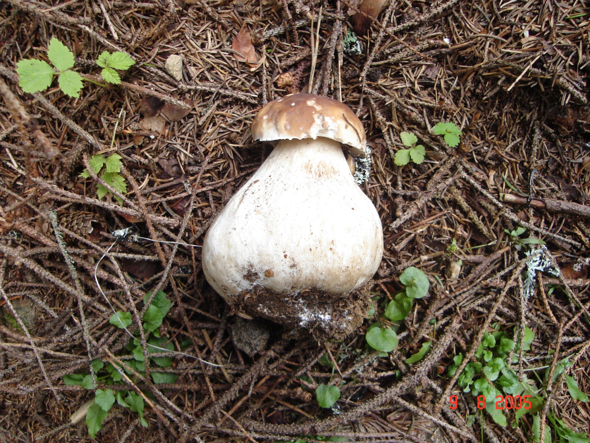 this photo is not available