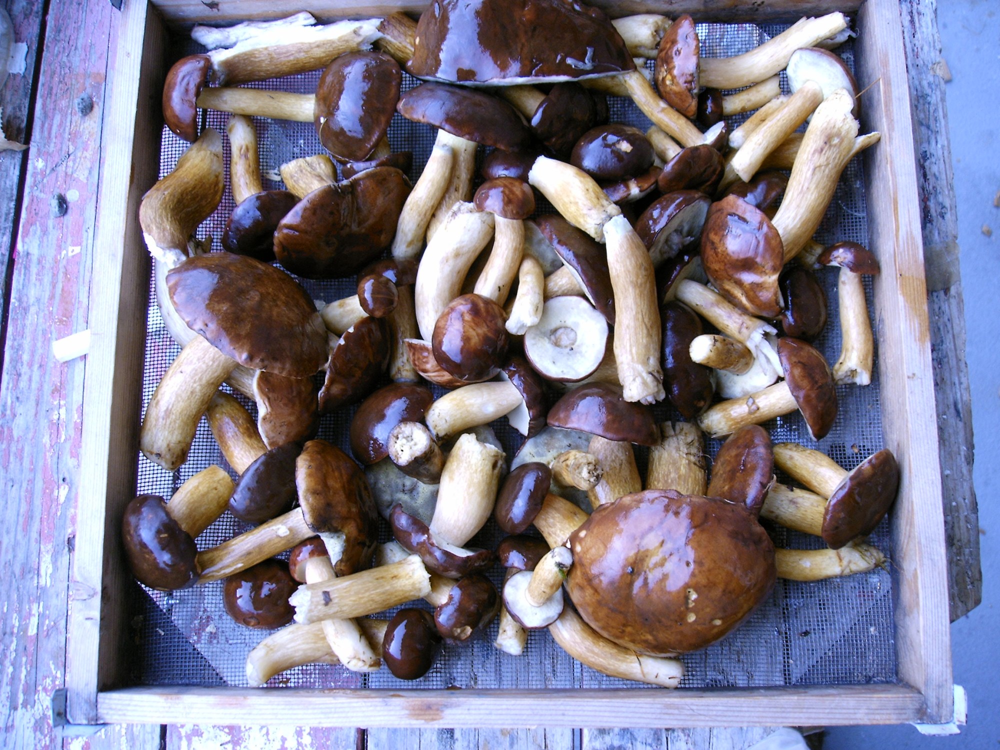 this photo is not available