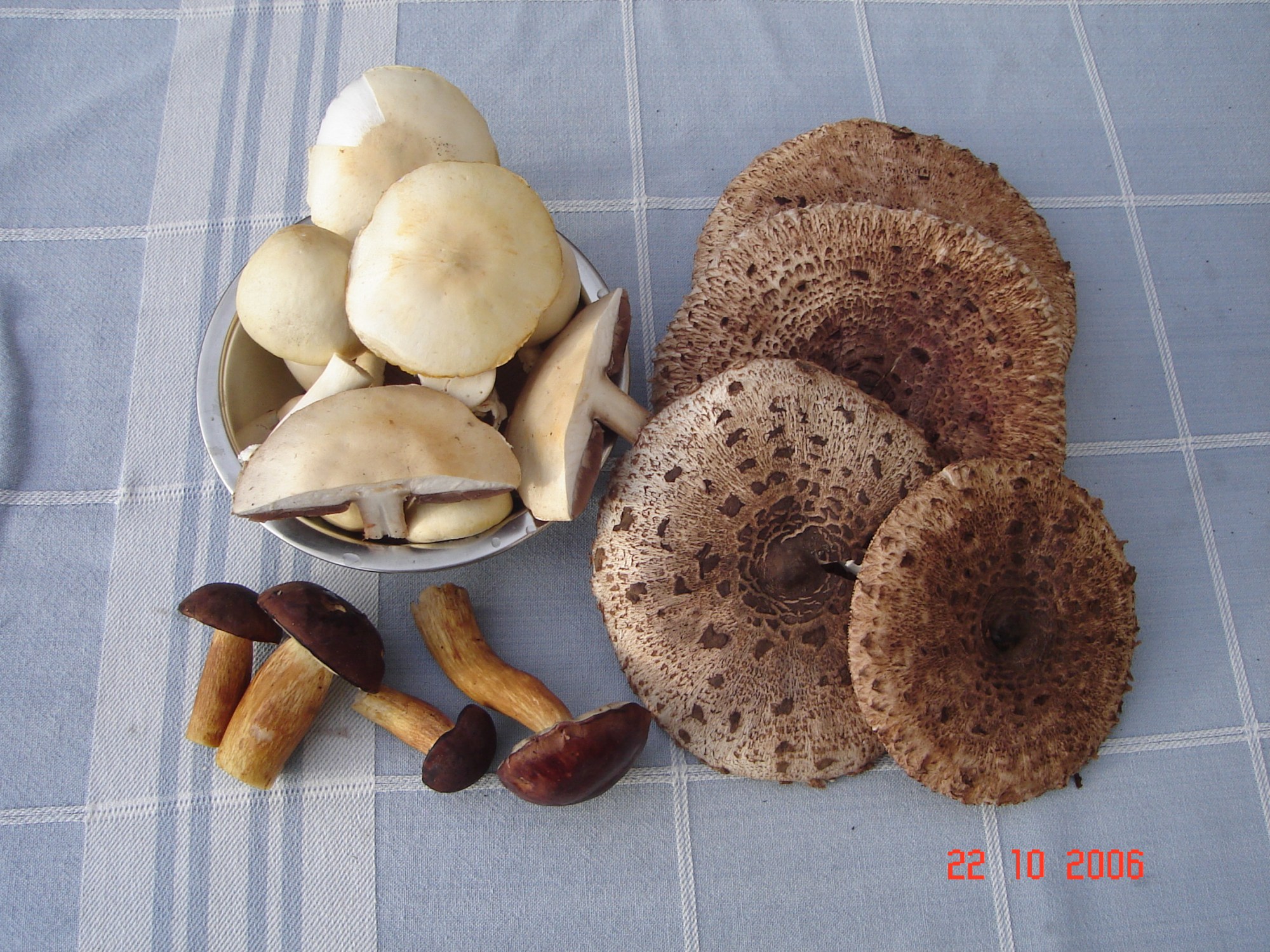 this photo is not available