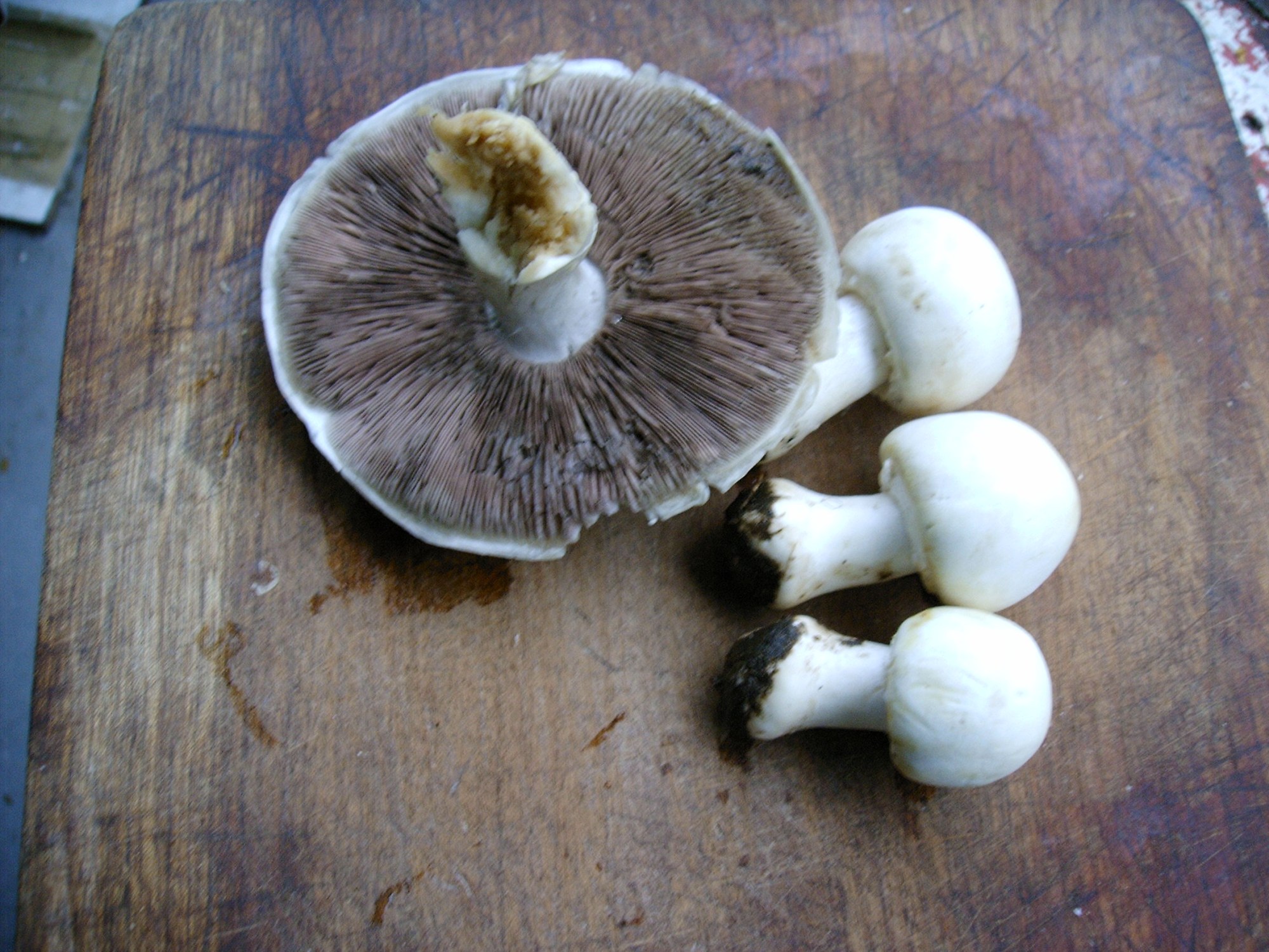 this photo is not available