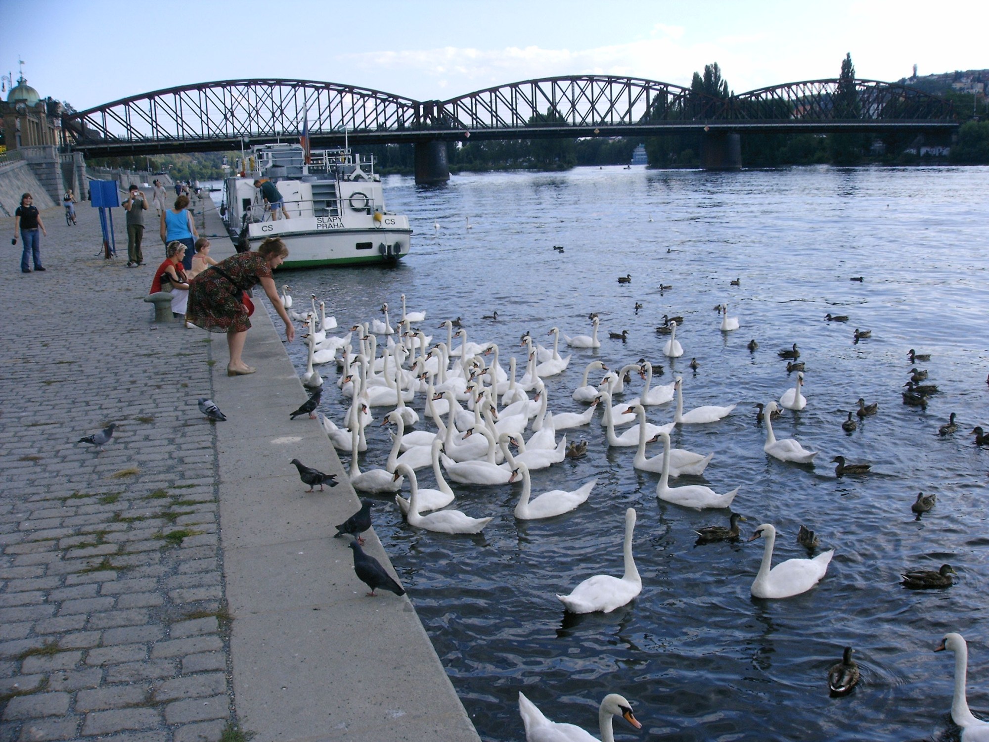 this photo is not available