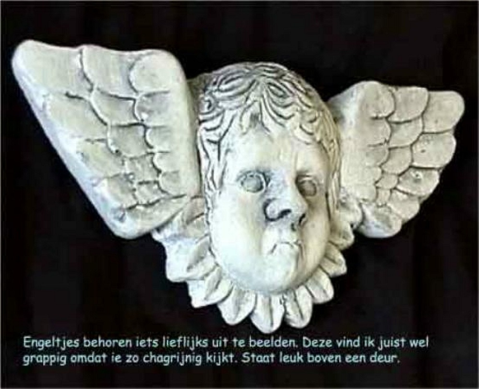 this photo is not available