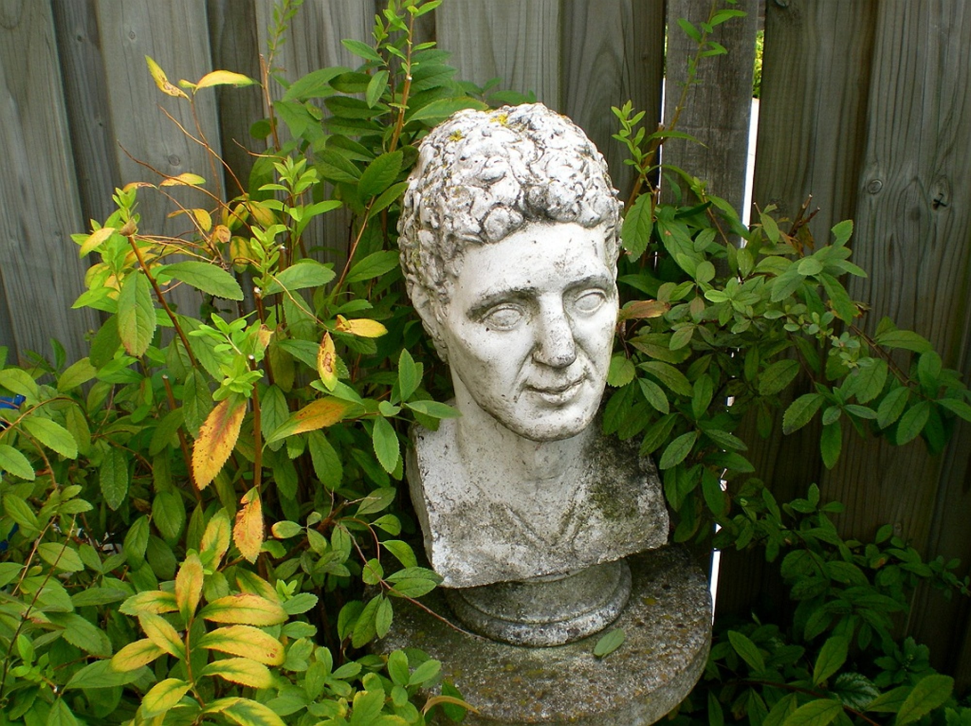 this photo is not available