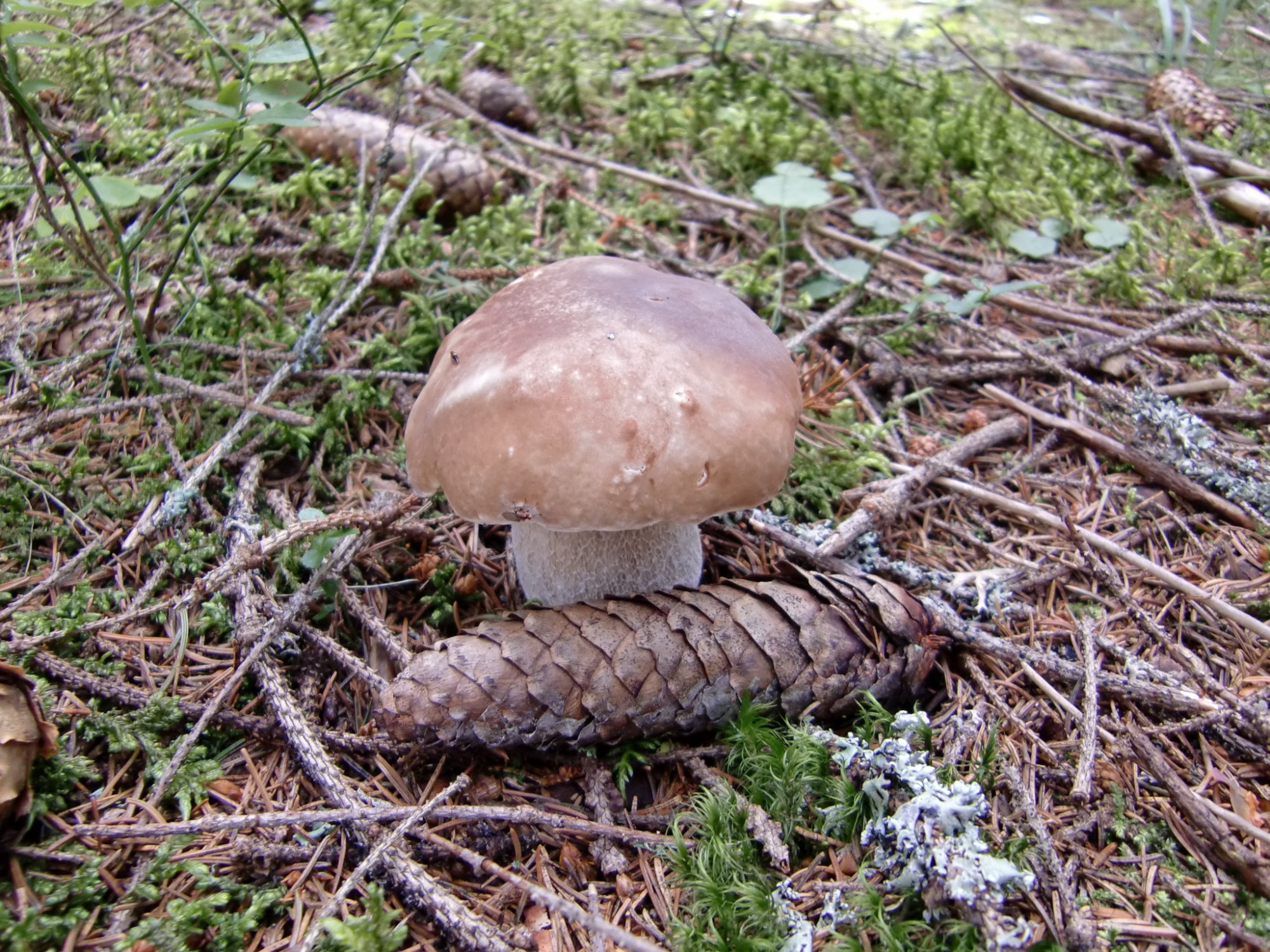 this photo is not available