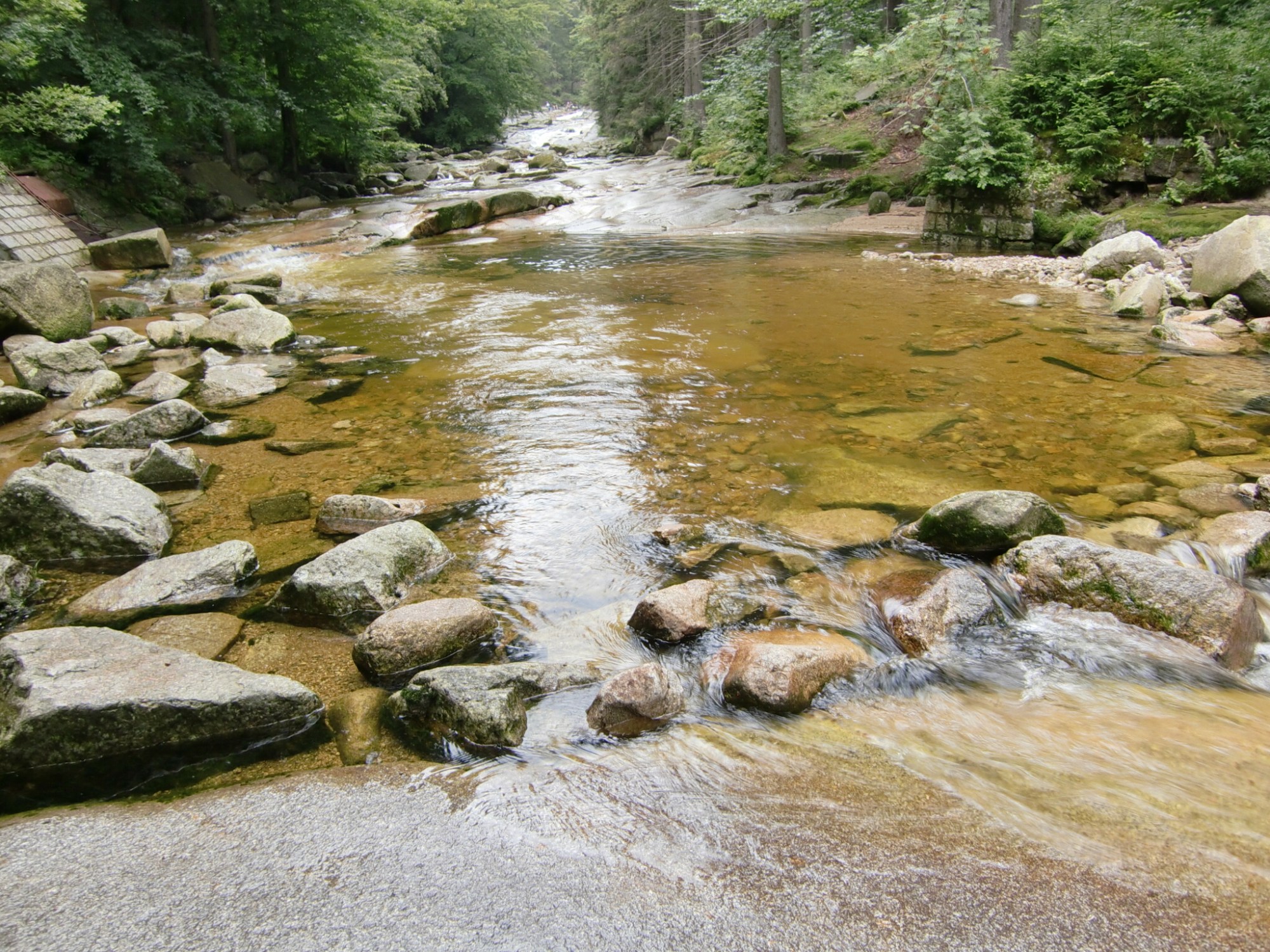 this photo is not available