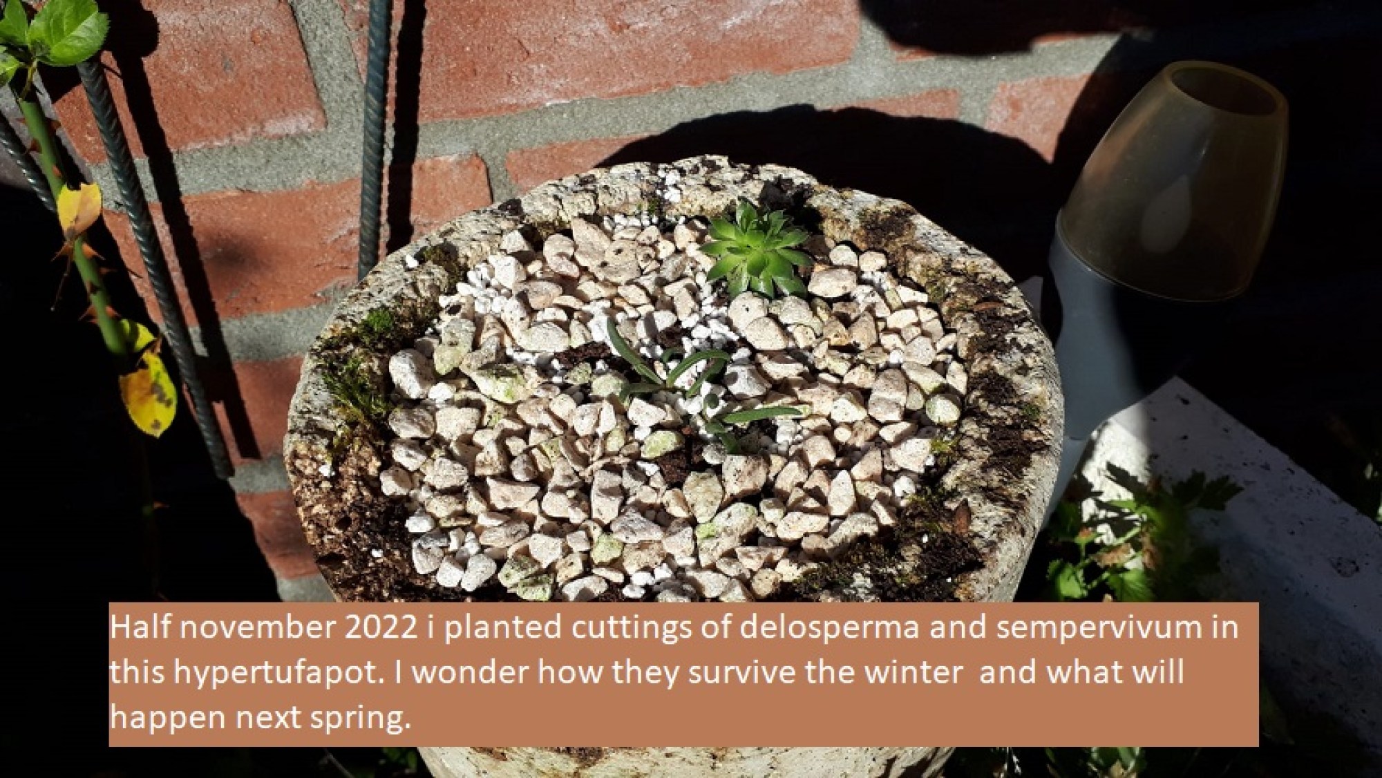 this photo is not available