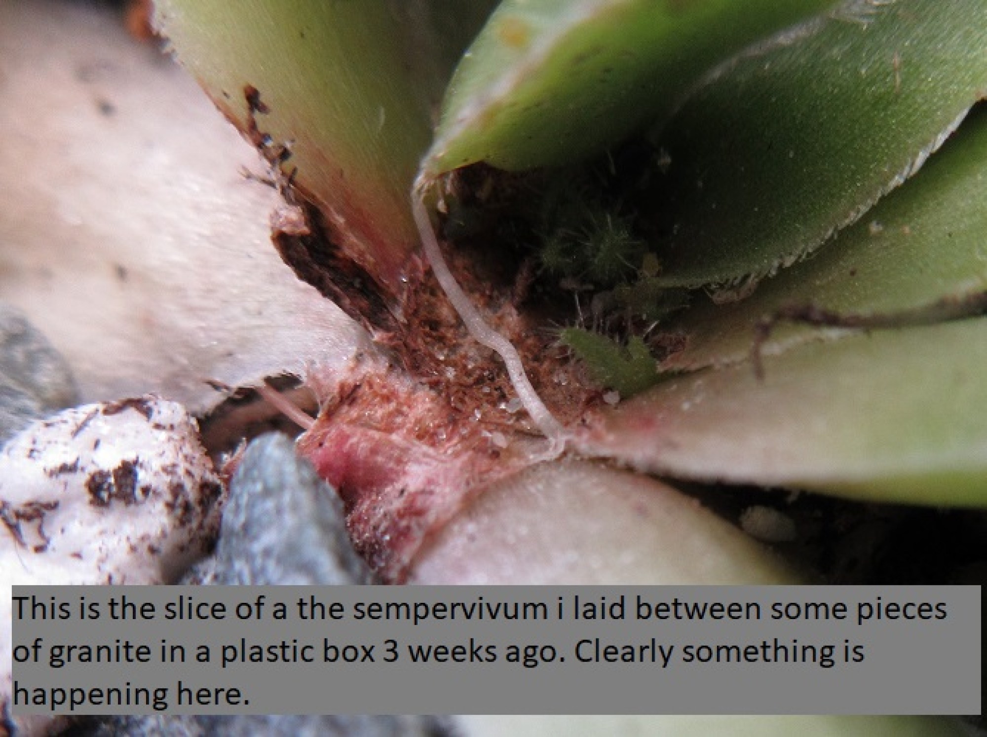 this photo is not available