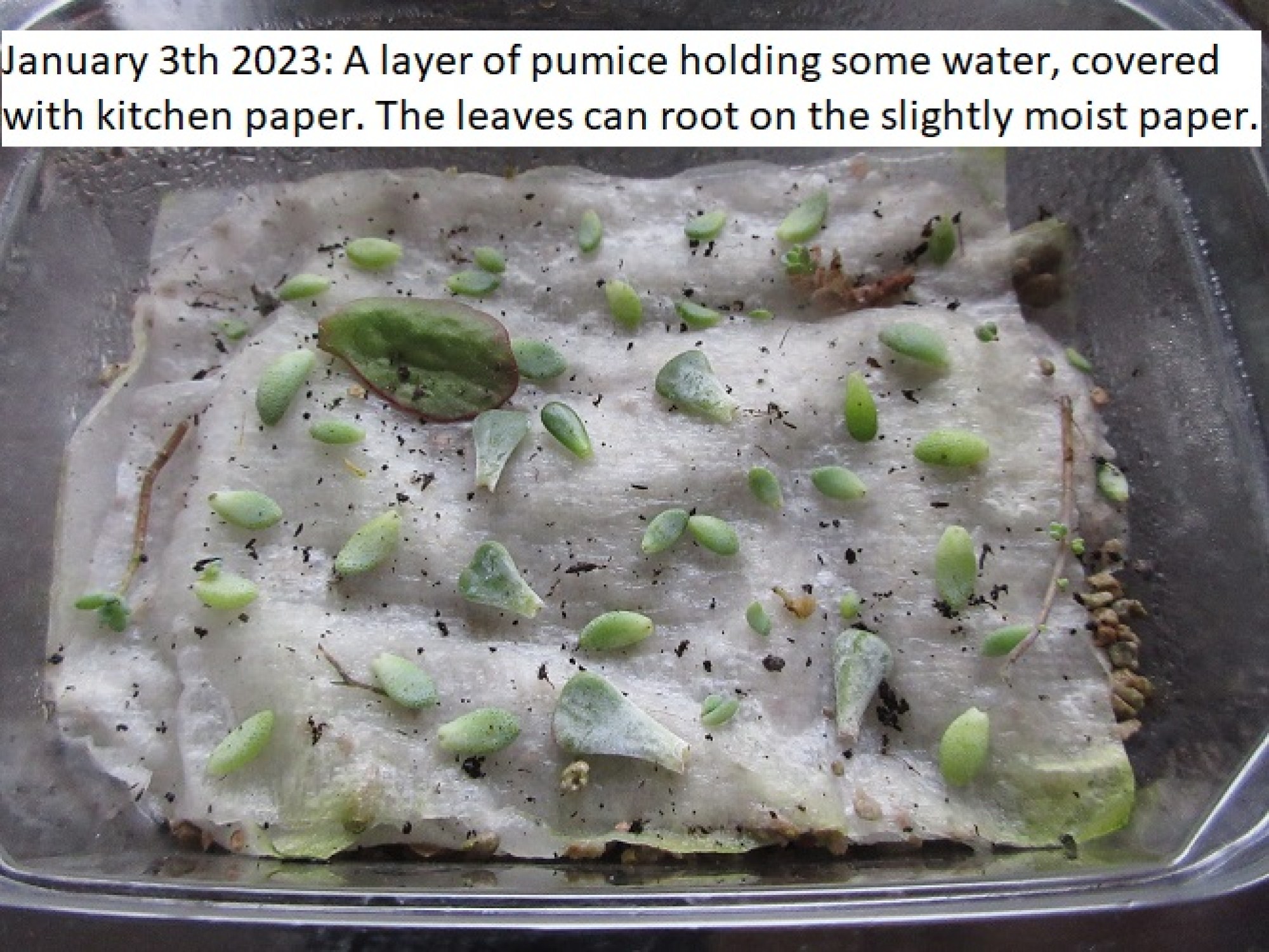 this photo is not available