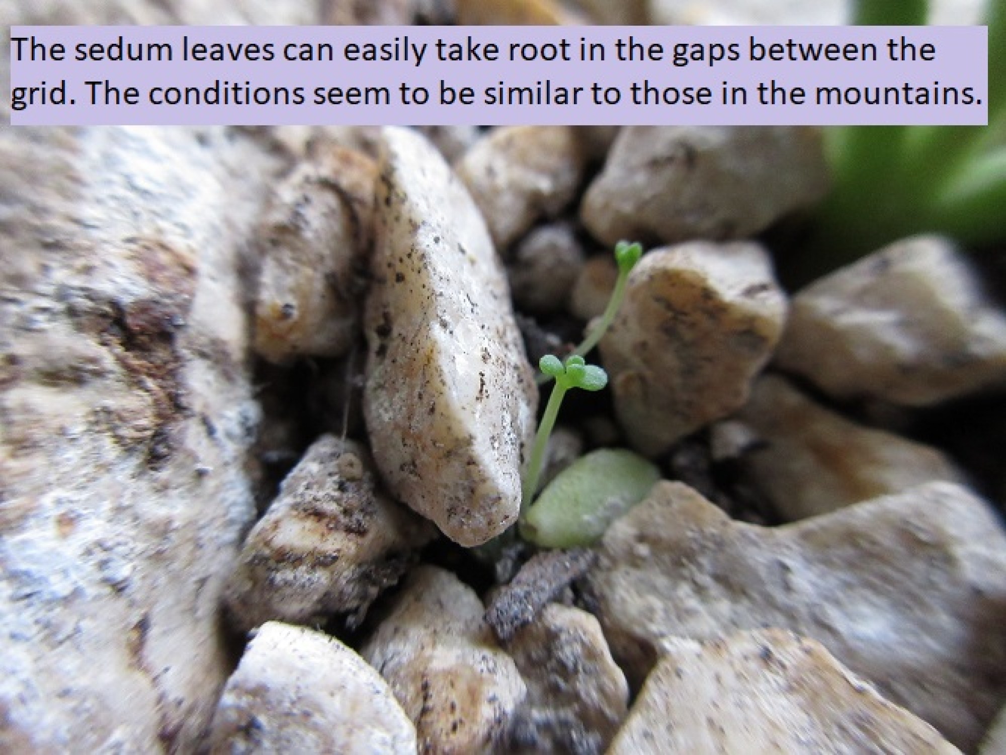 this photo is not available