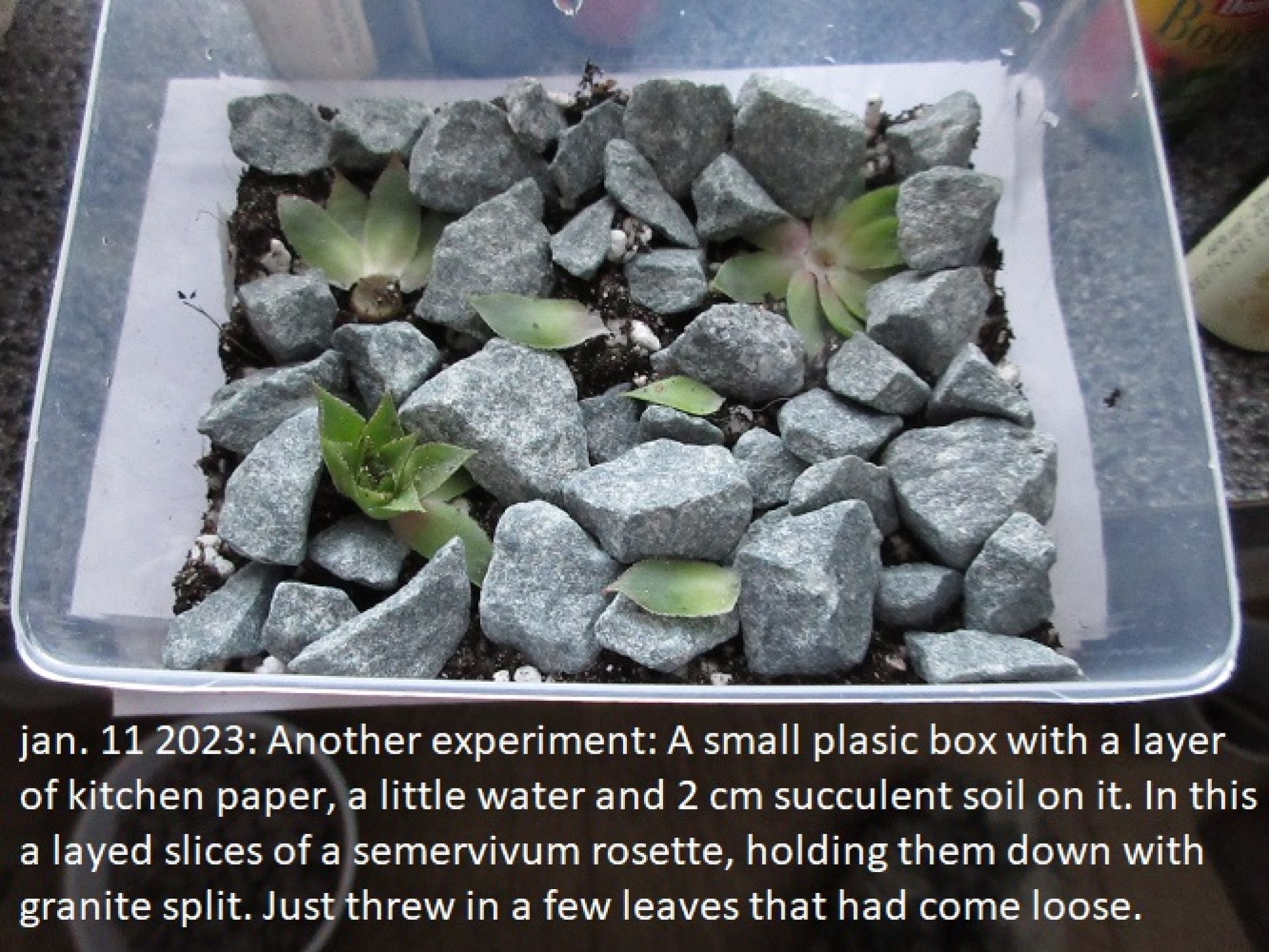 this photo is not available