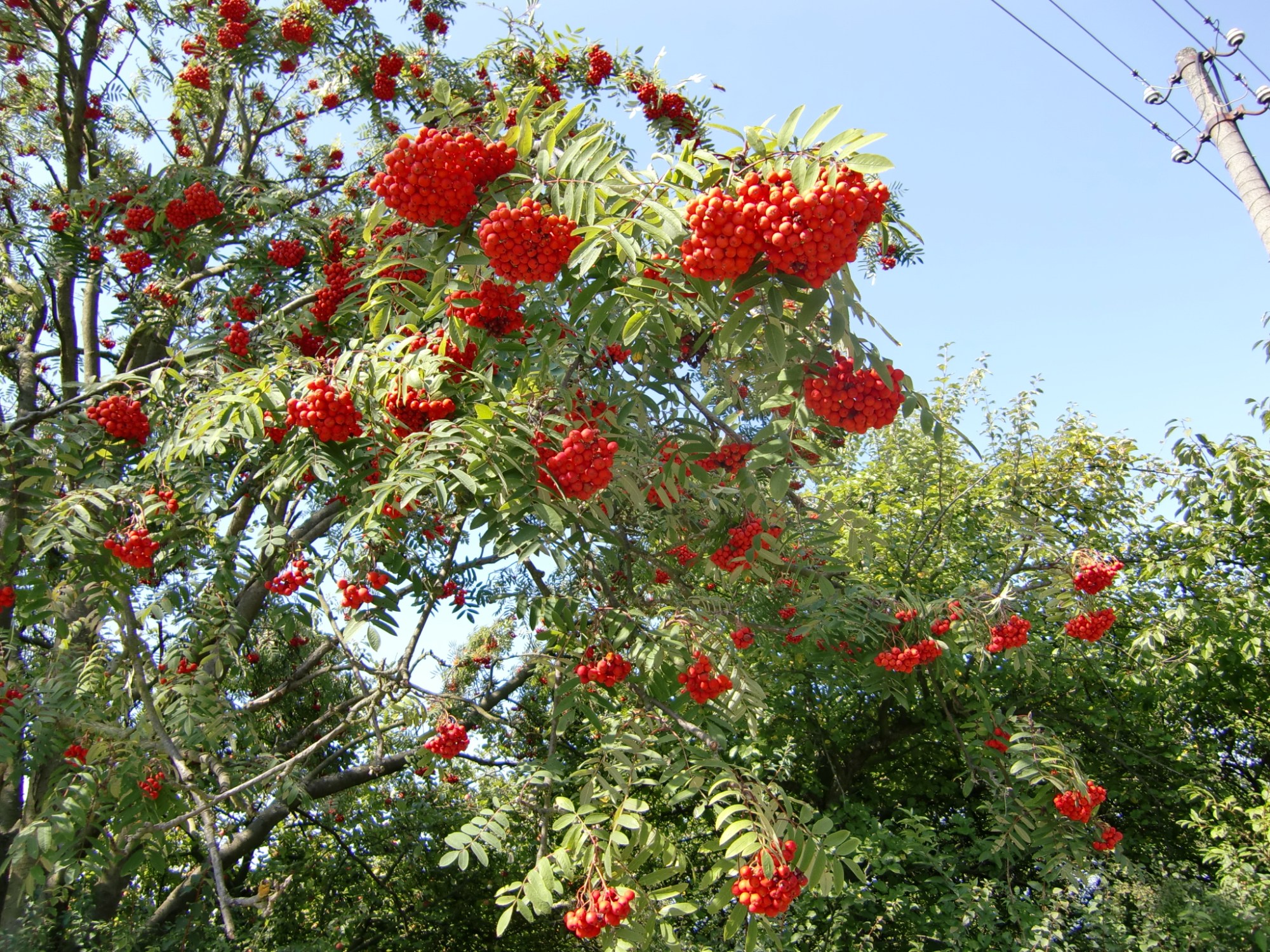 this photo is not available