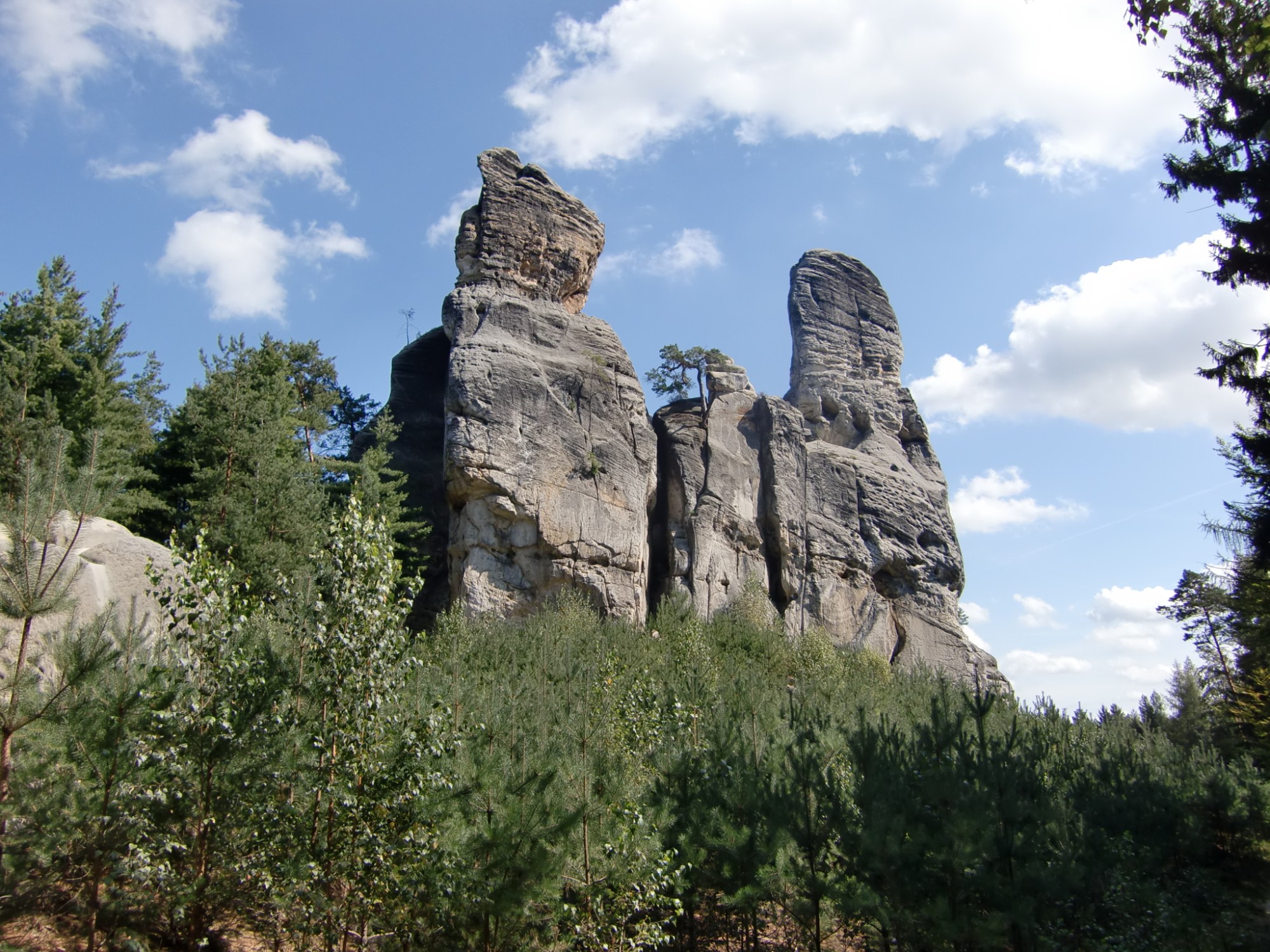 this photo is not available