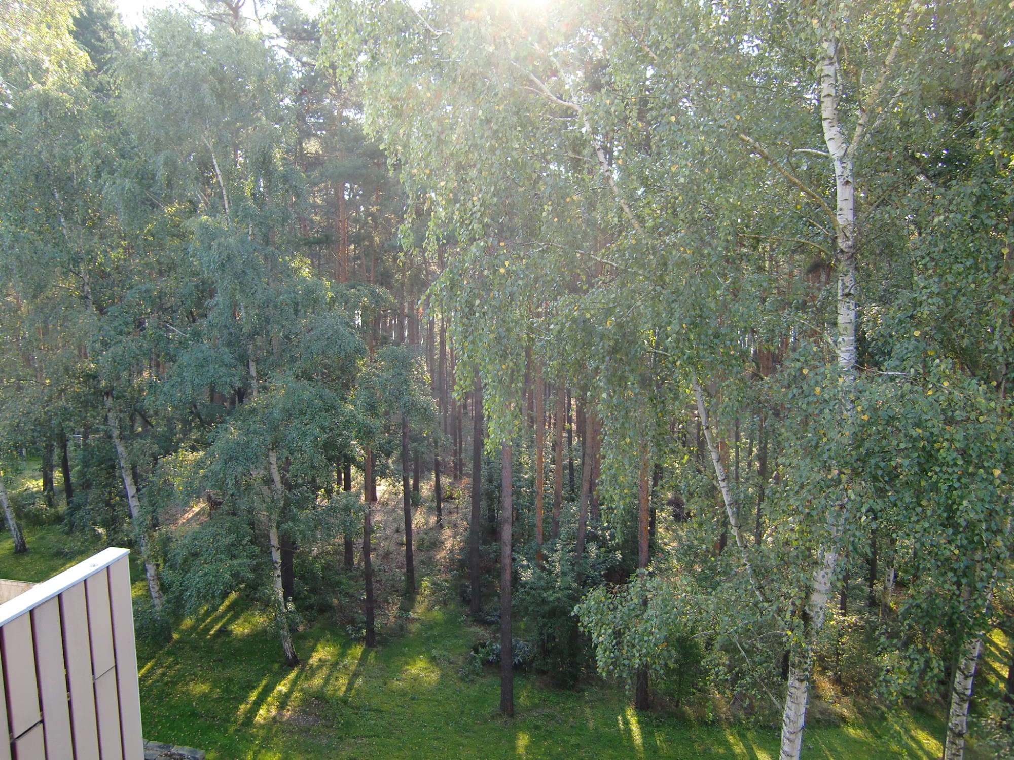 this photo is not available